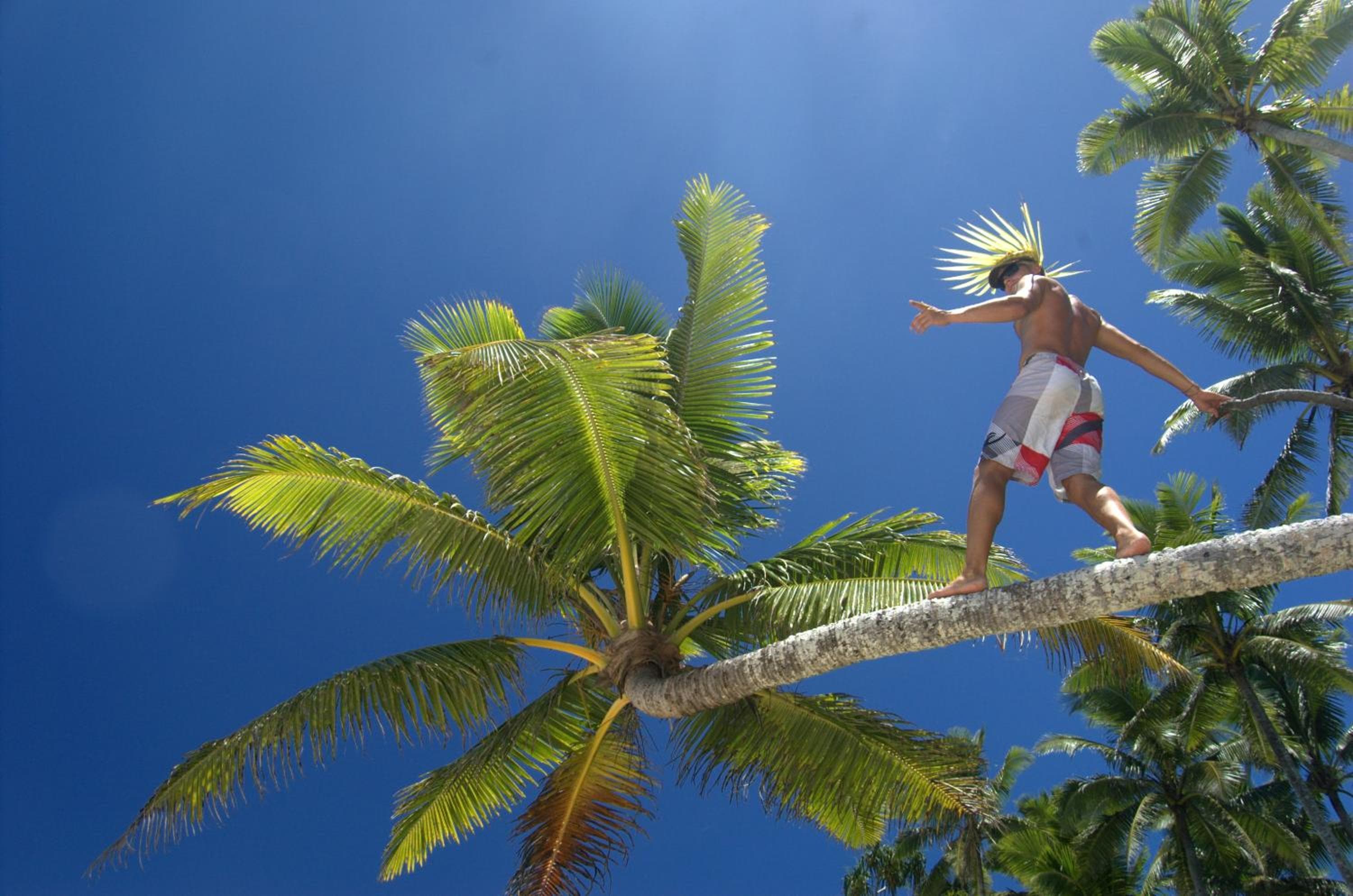 Maravu Taveuni Lodge property photograph