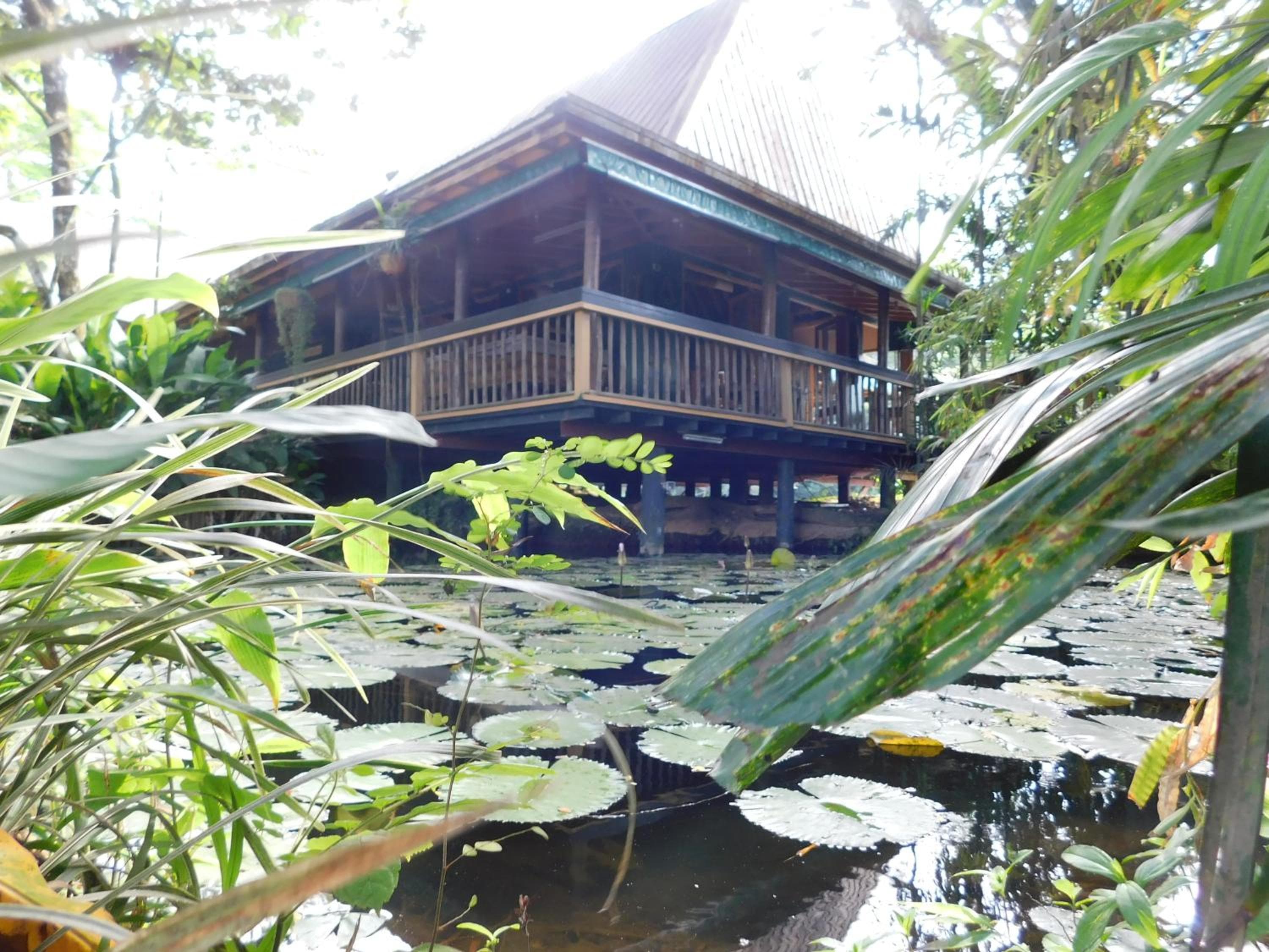Rainforest Eco Lodge property photograph