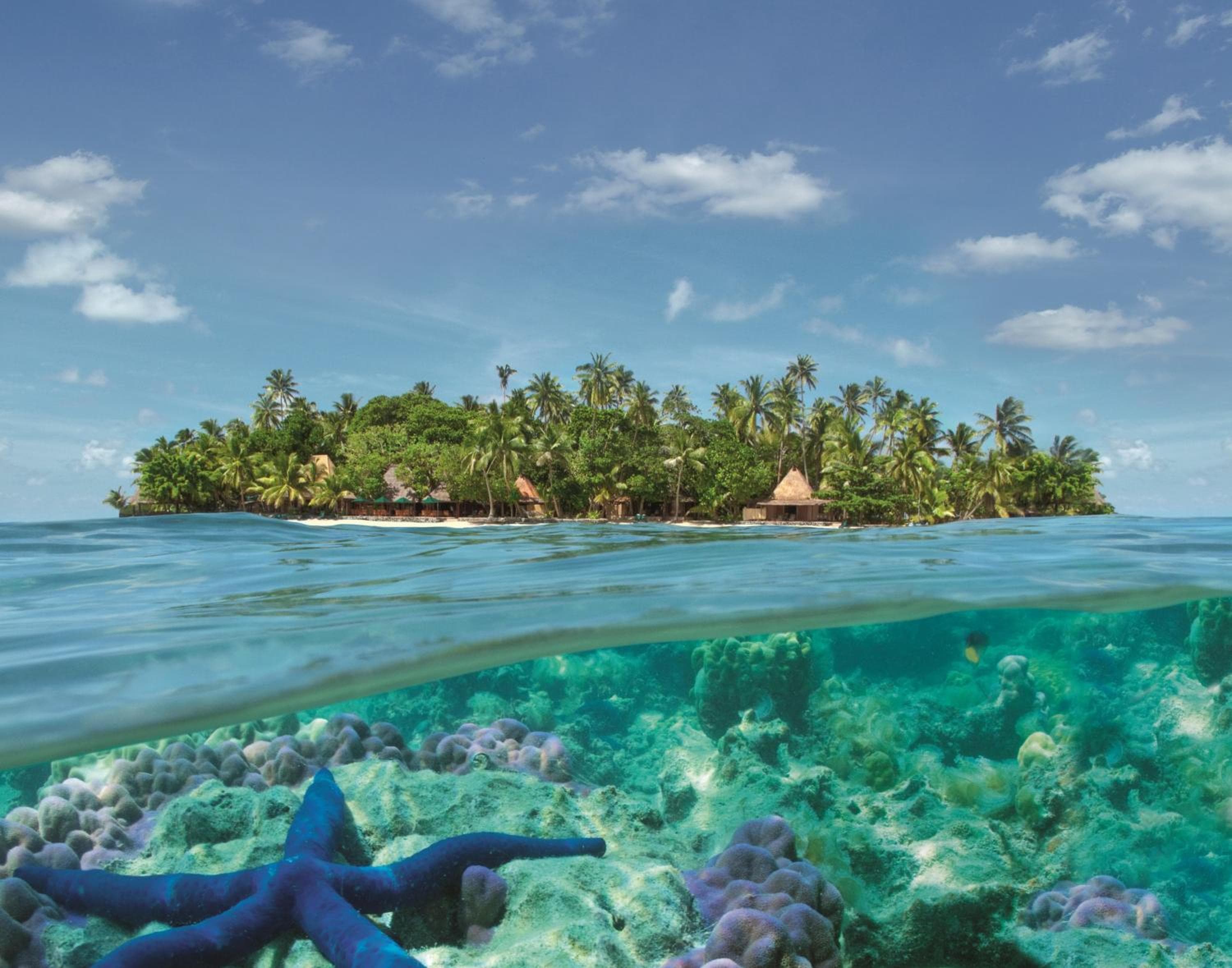 Toberua Island Resort property photograph
