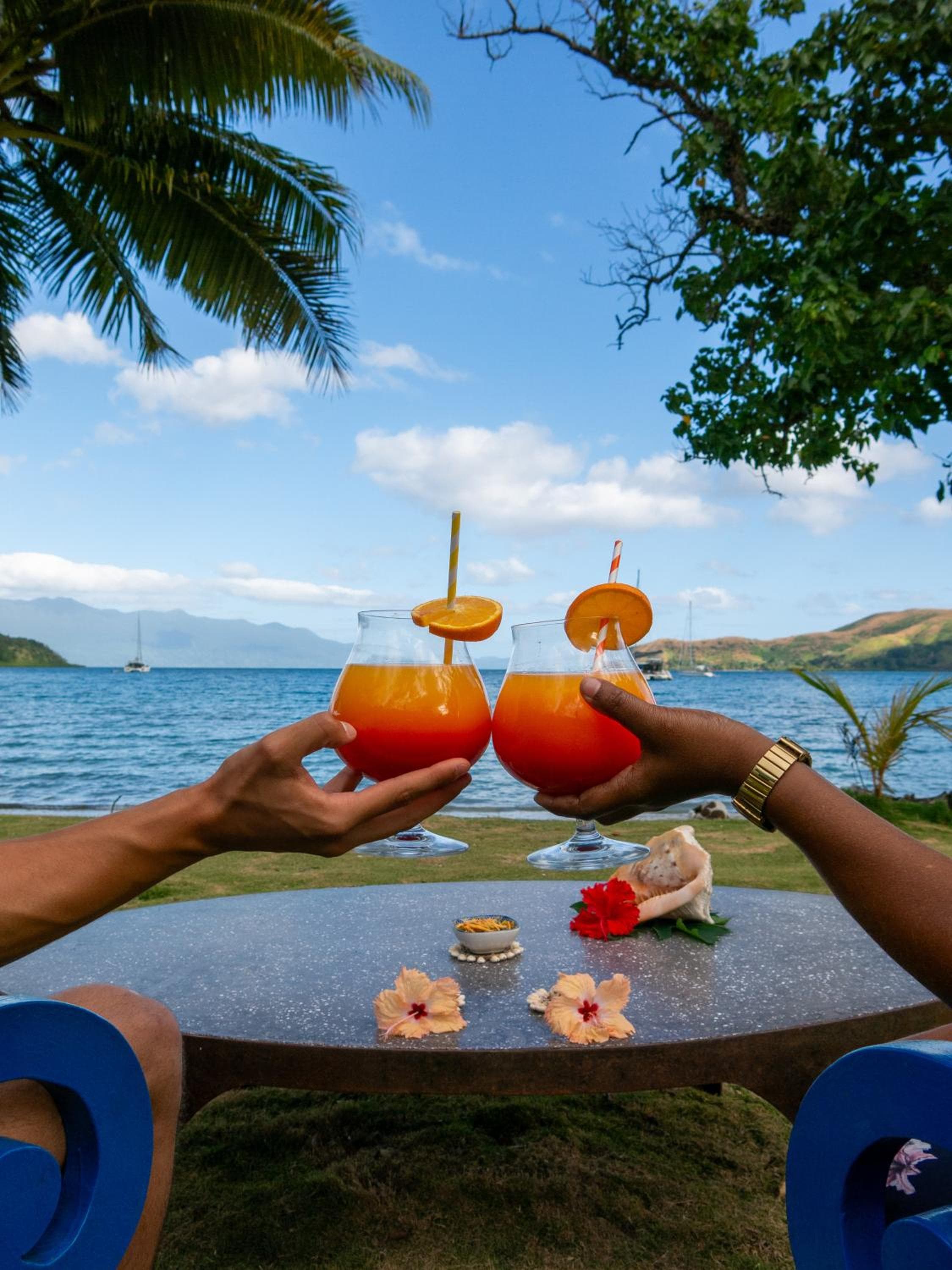 Viani Bay Dive Resort across from Taveuni property photograph