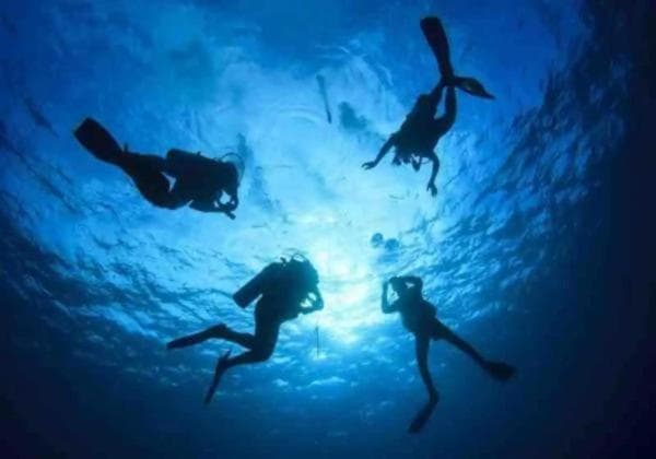 Mana Lagoon Backpackers property photograph