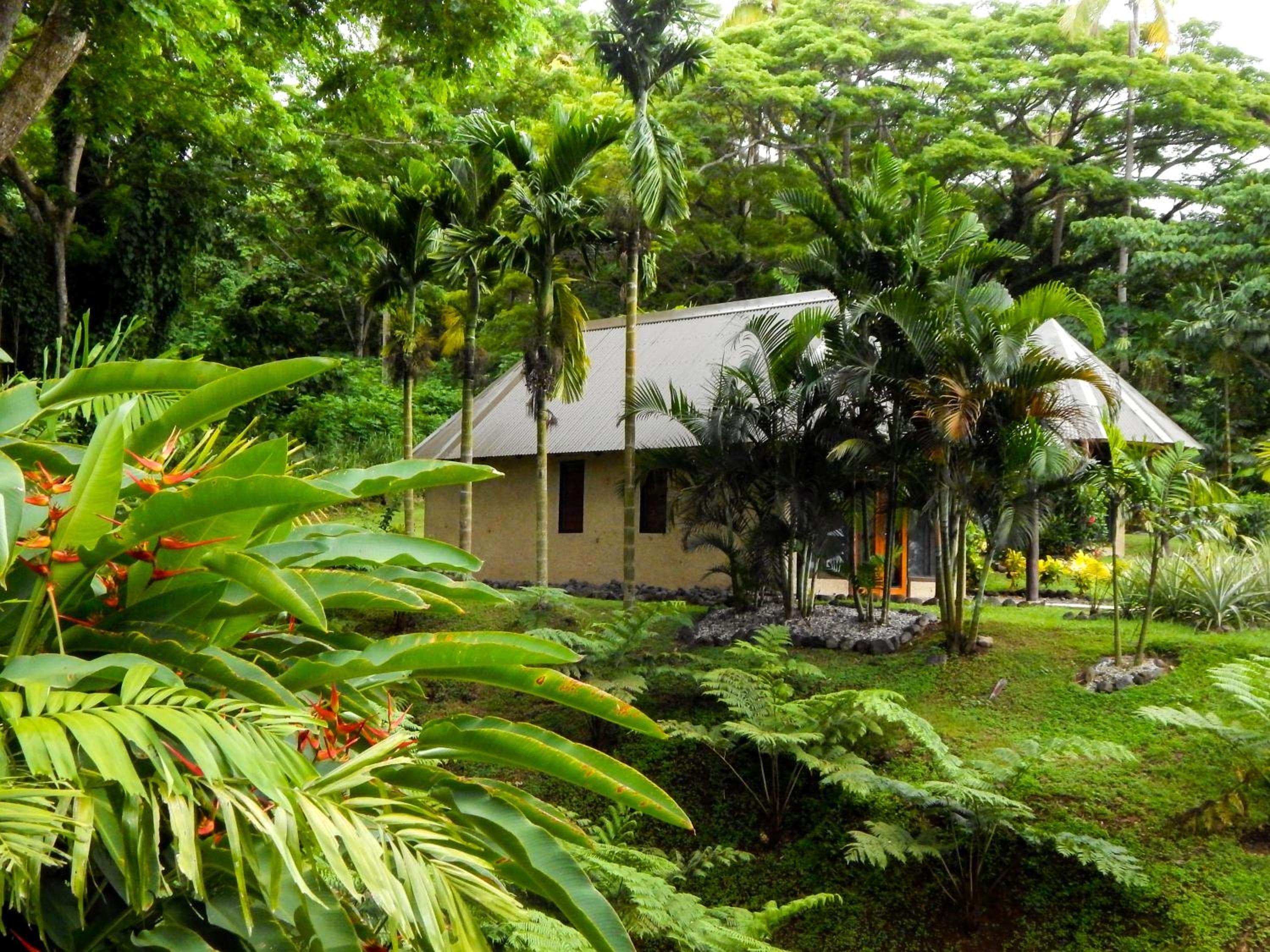 Taveuni Dive Resort property photograph
