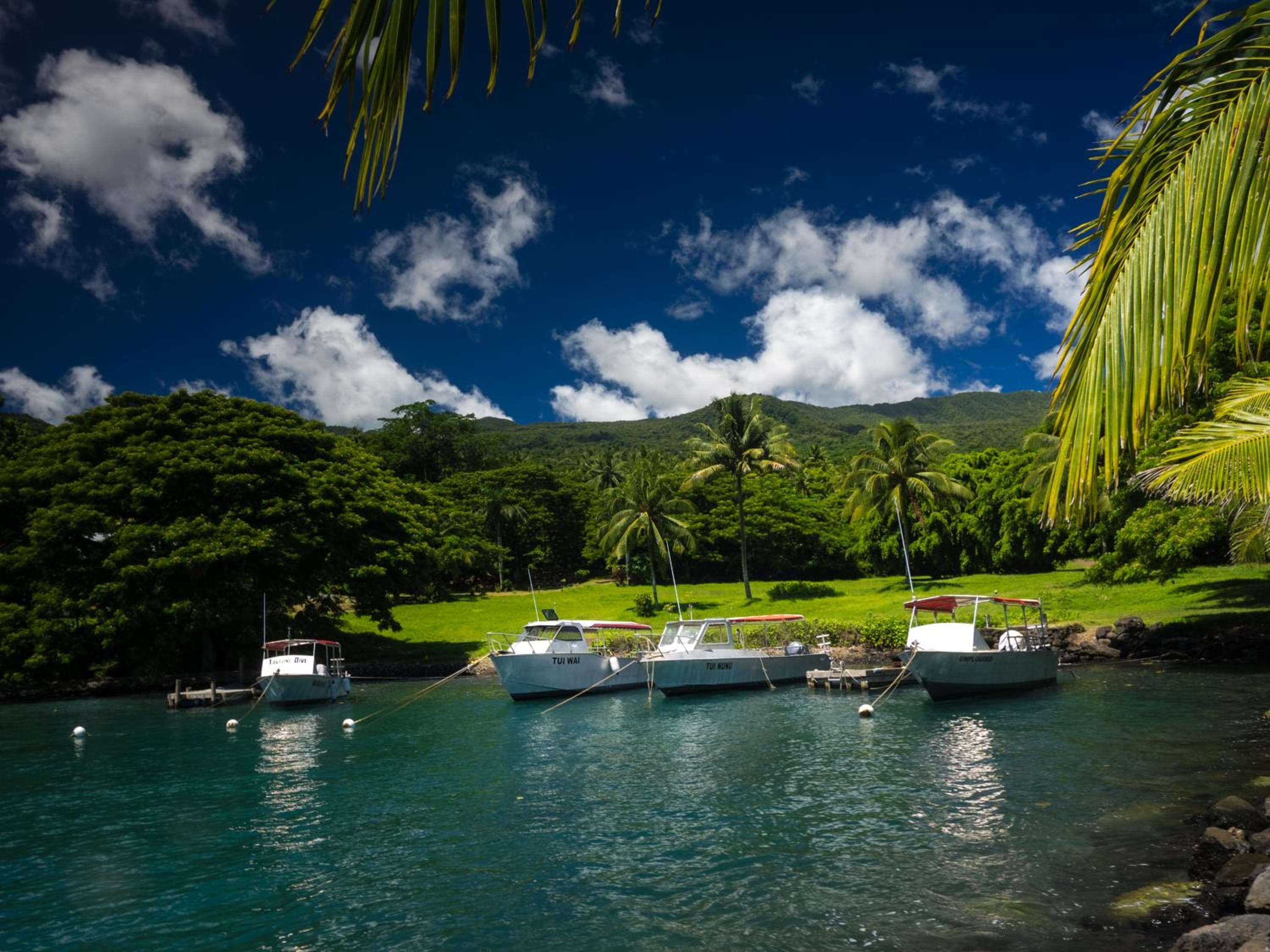 Taveuni Dive Resort property photograph