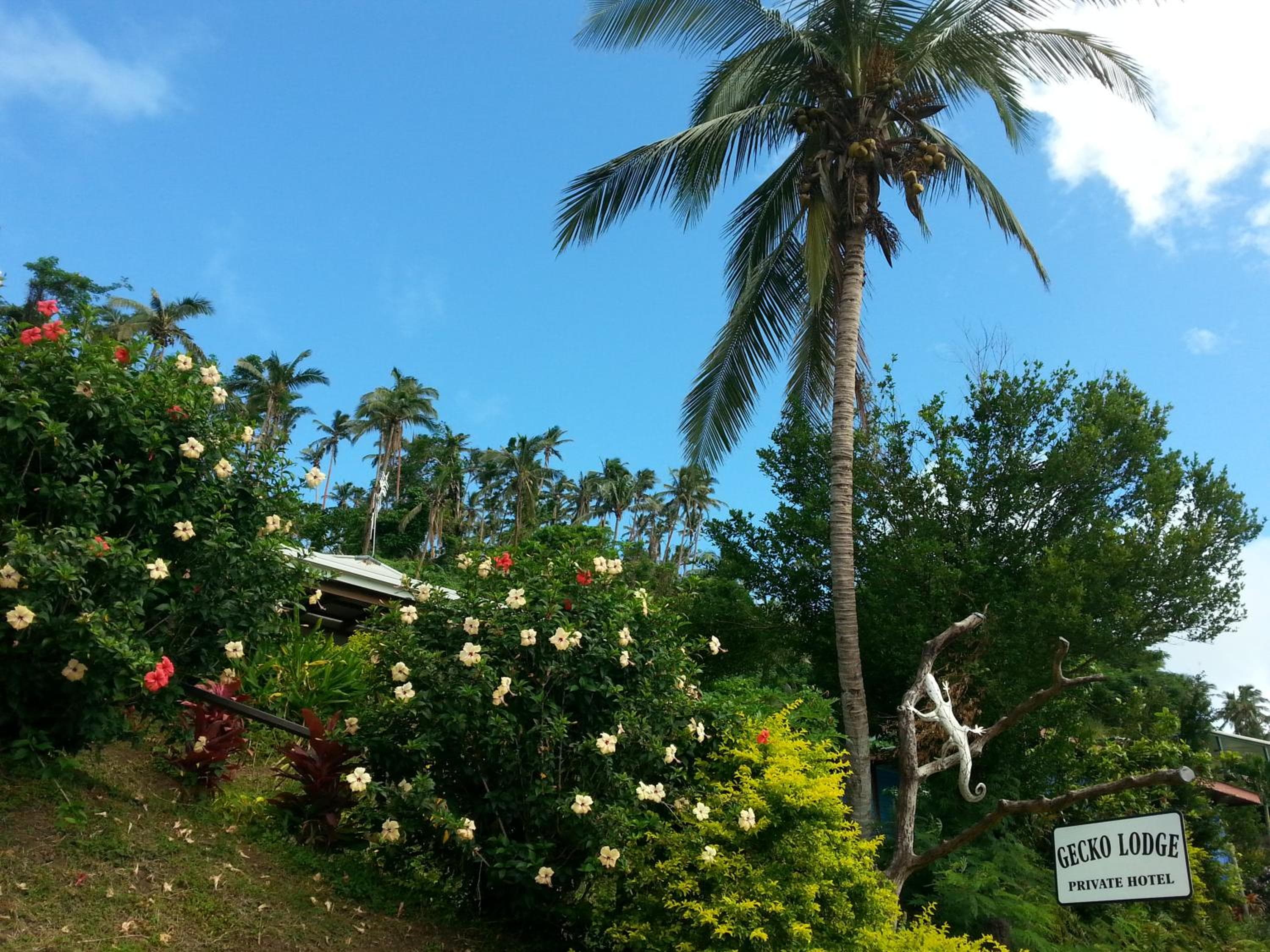 Property photograph of Gecko Lodge Fiji