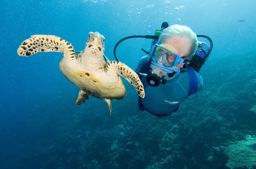 Jean-Michel Cousteau Resort Fiji property photograph