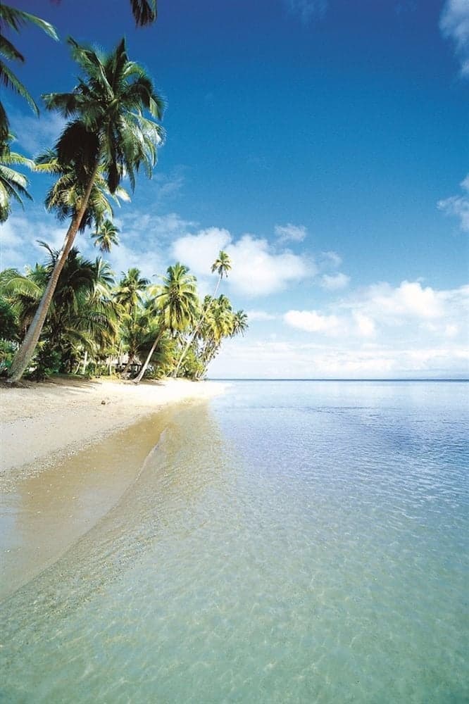 Jean-Michel Cousteau Resort Fiji property photograph
