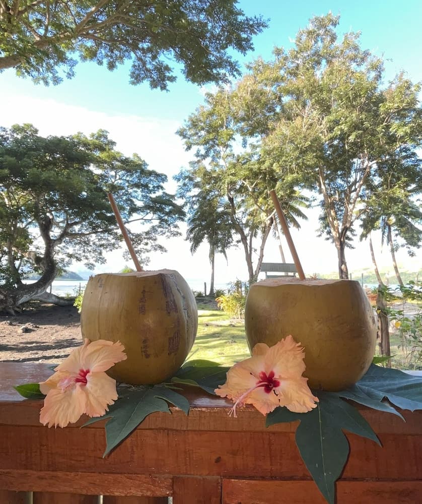 Viani Bay Resort at Dive Academy Fiji property photograph