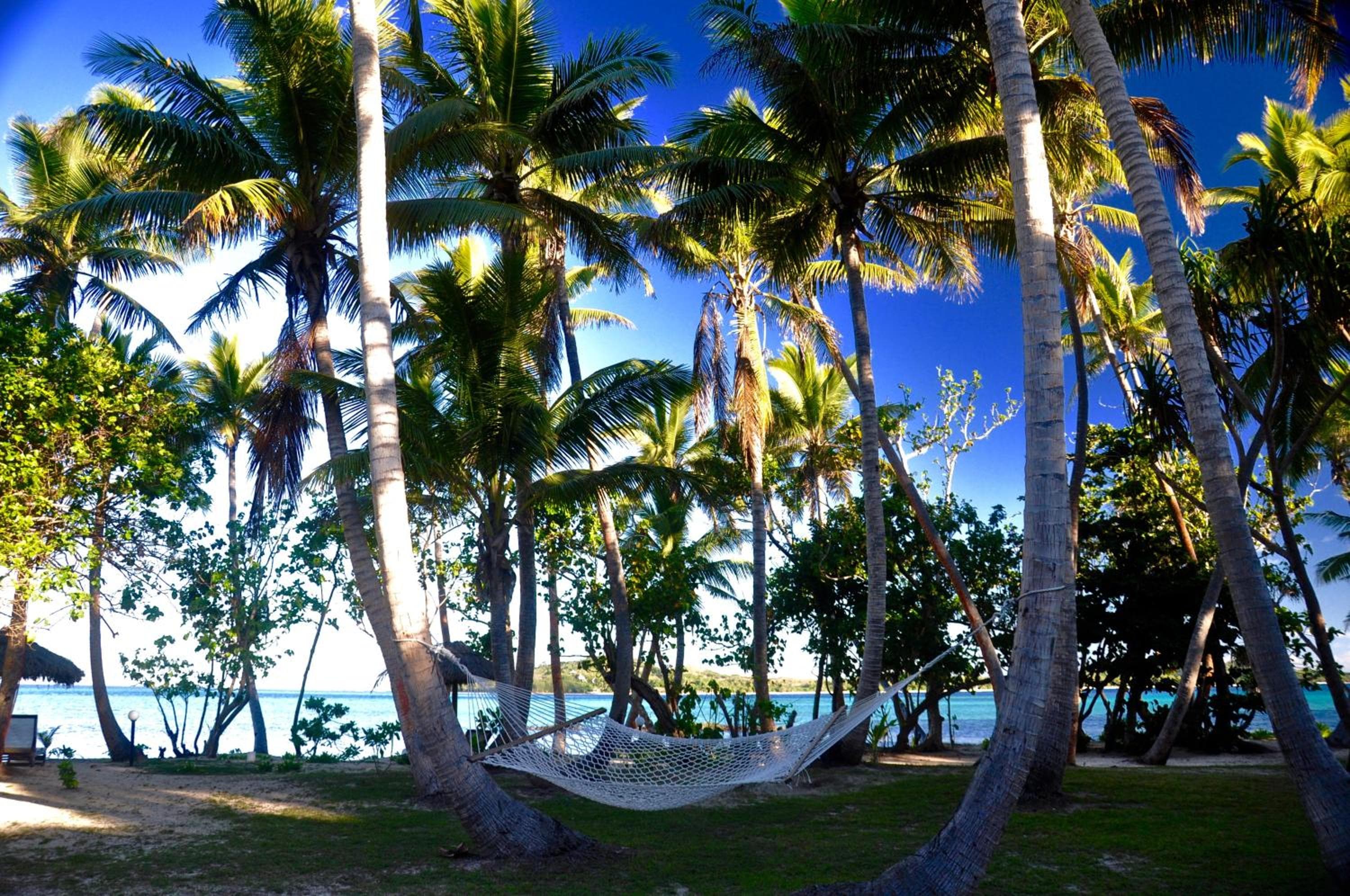 Bungalow - Beach Front at Coconut Beach Resort