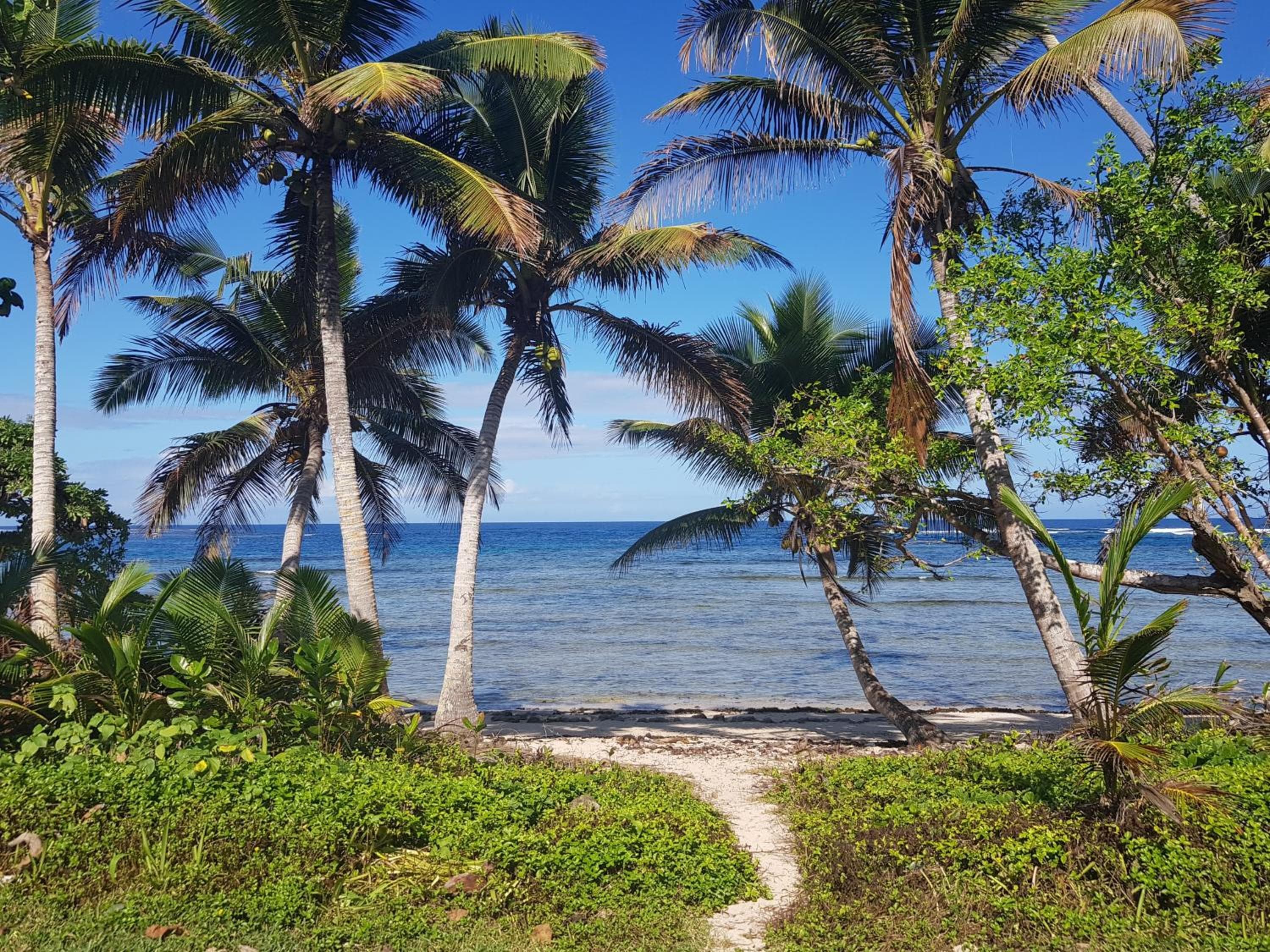 Bungalow with Sea View at Fiji Lodge Vosa Ni Ua
