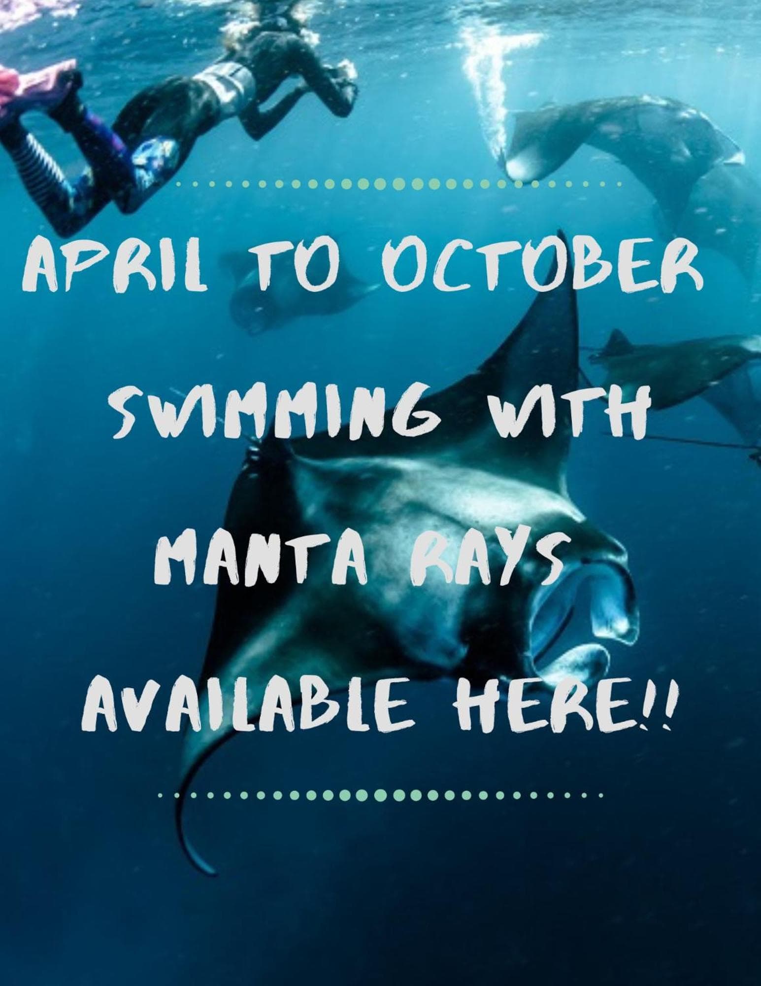 Double Room With Sea View at White Sandy Beach-Best Manta Snorkeling