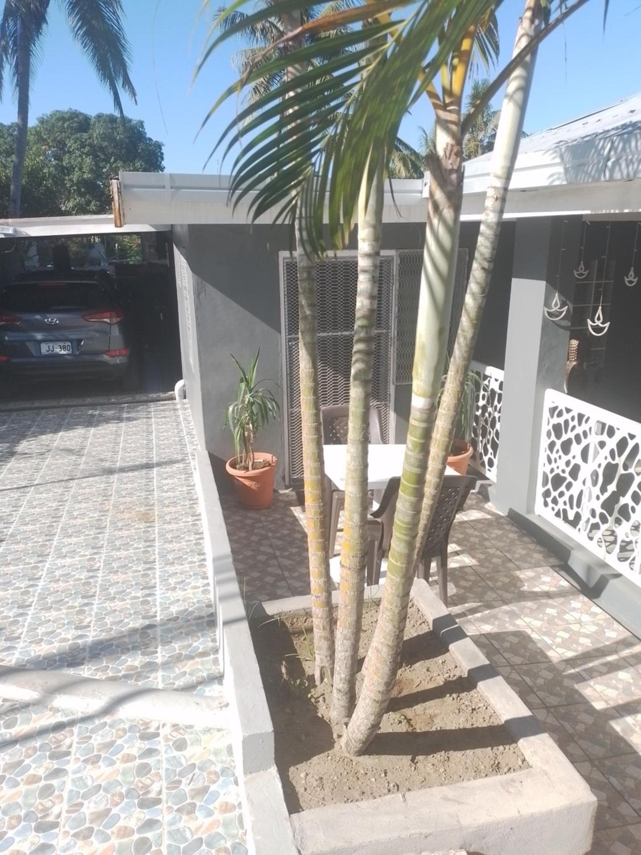 Double Room with Garden View at Home Away From Home