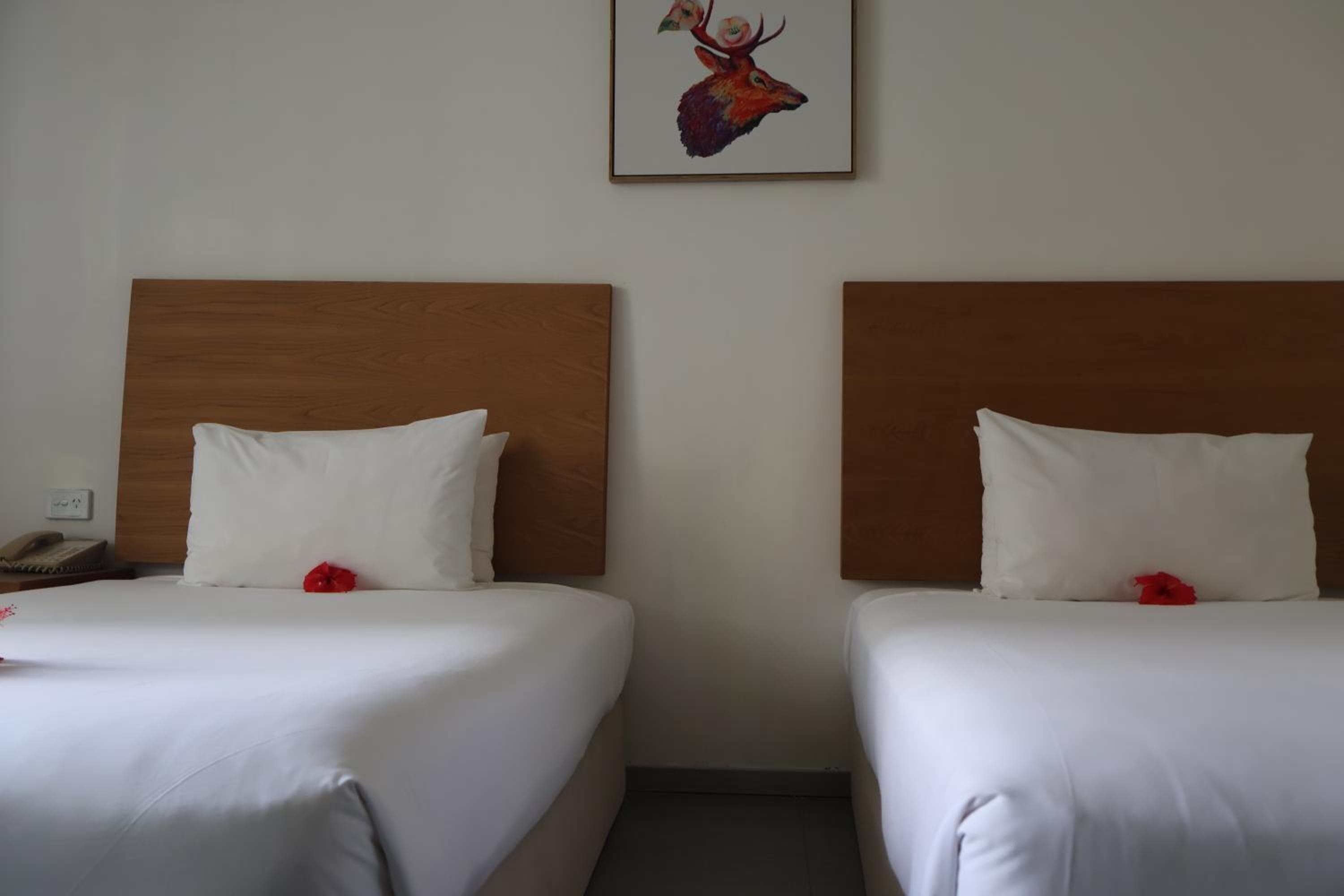 Standard Twin/Single Room at Nalagi Hotel