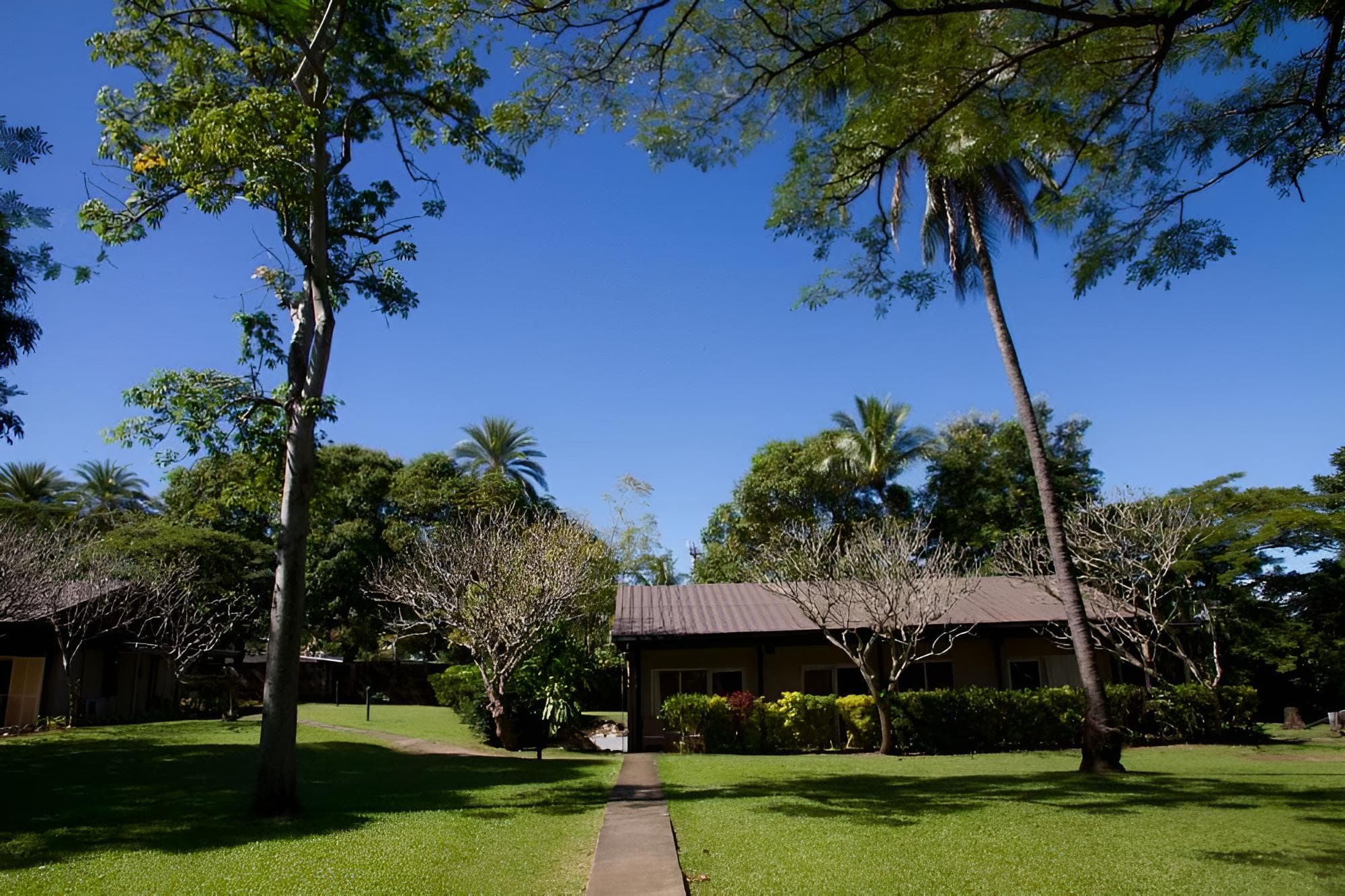 Standard Room, 1 Double Bed at Tanoa Skylodge Hotel