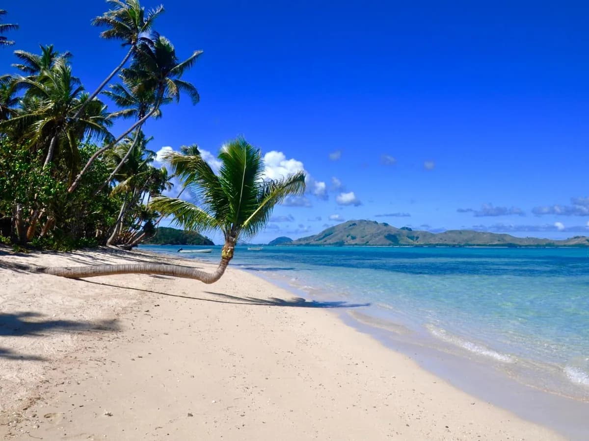 Palm trees beside a white-sand beach in Fiji’s Yasawa Islands