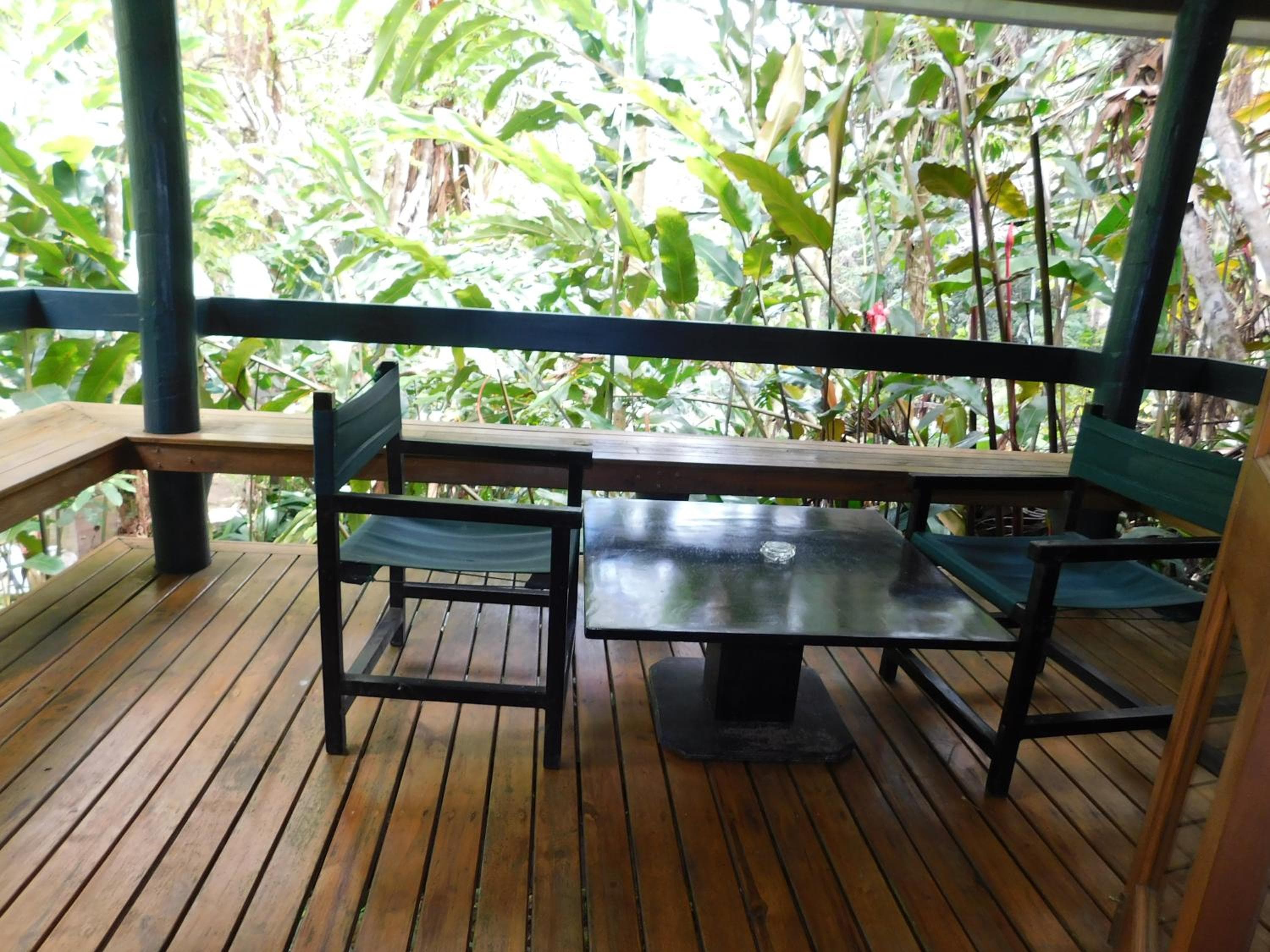 Bure With Forest Garden View at Rainforest Eco Lodge