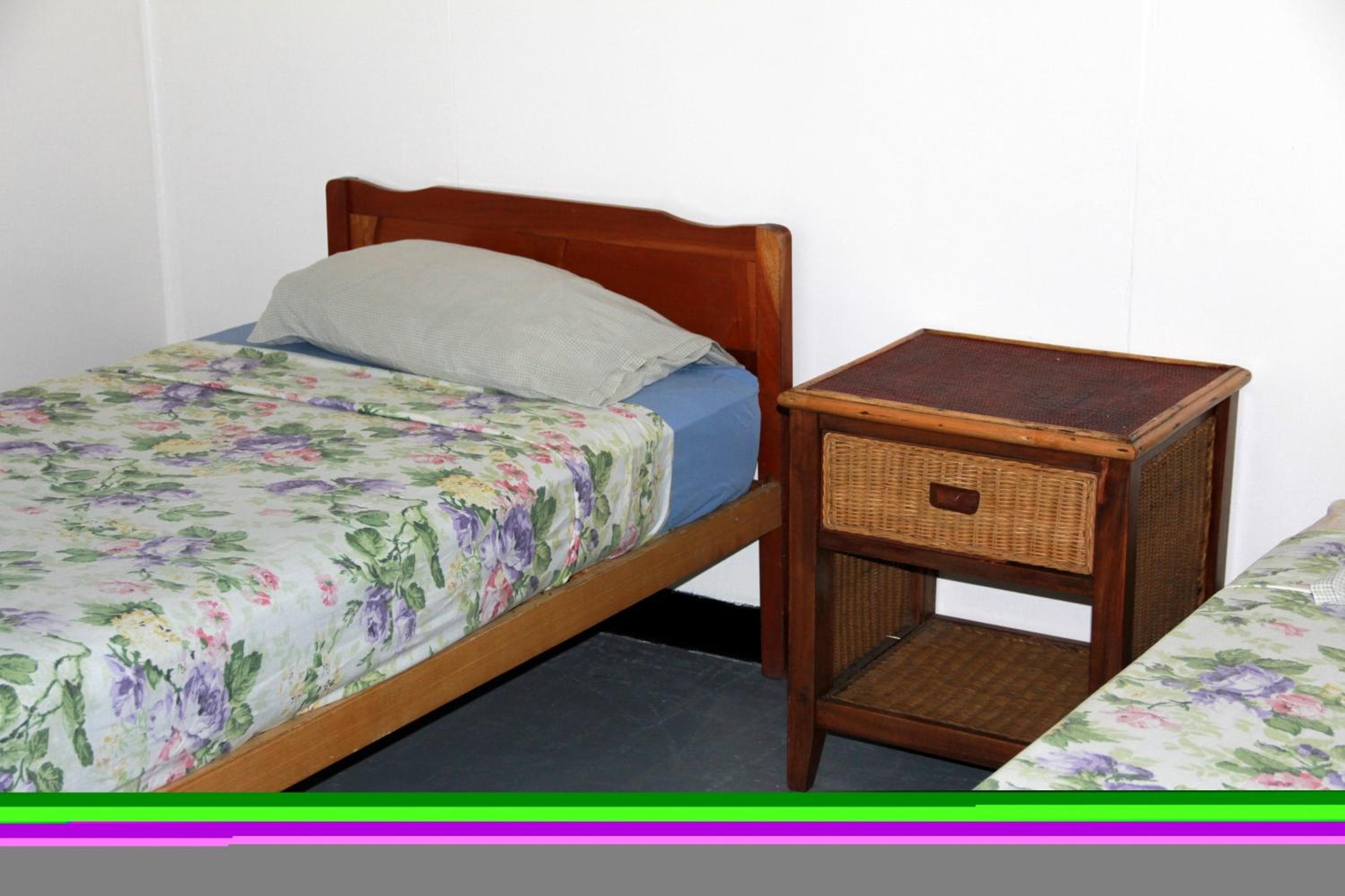 Twin Room with Shared Bathroom at Bamboo Backpackers