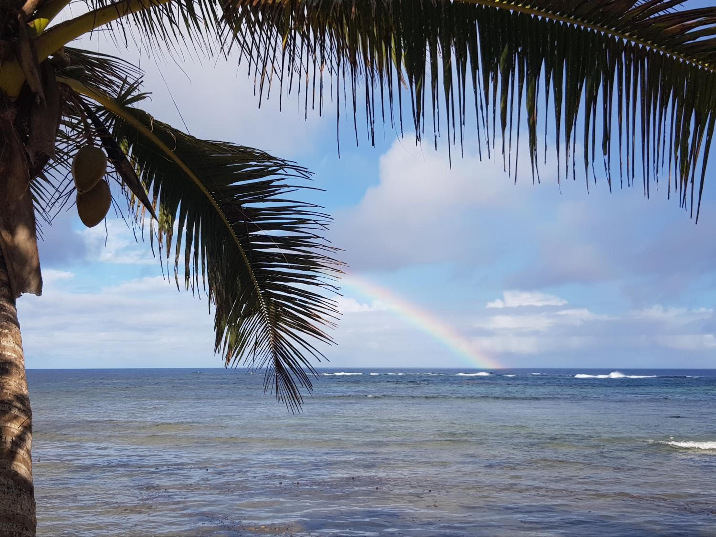 Bungalow with Sea View at Fiji Lodge Vosa Ni Ua