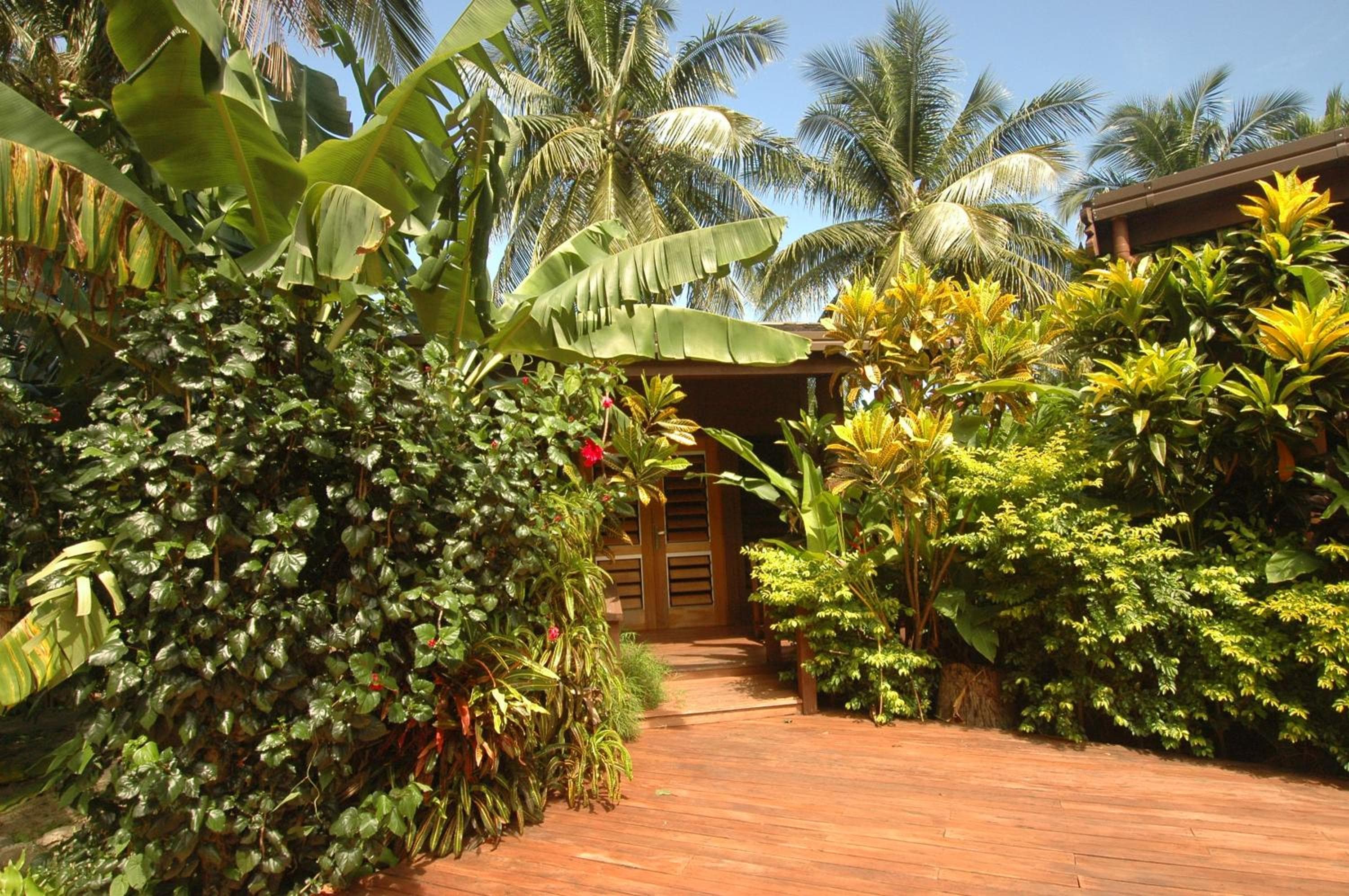 Bungalow at Octopus Resort