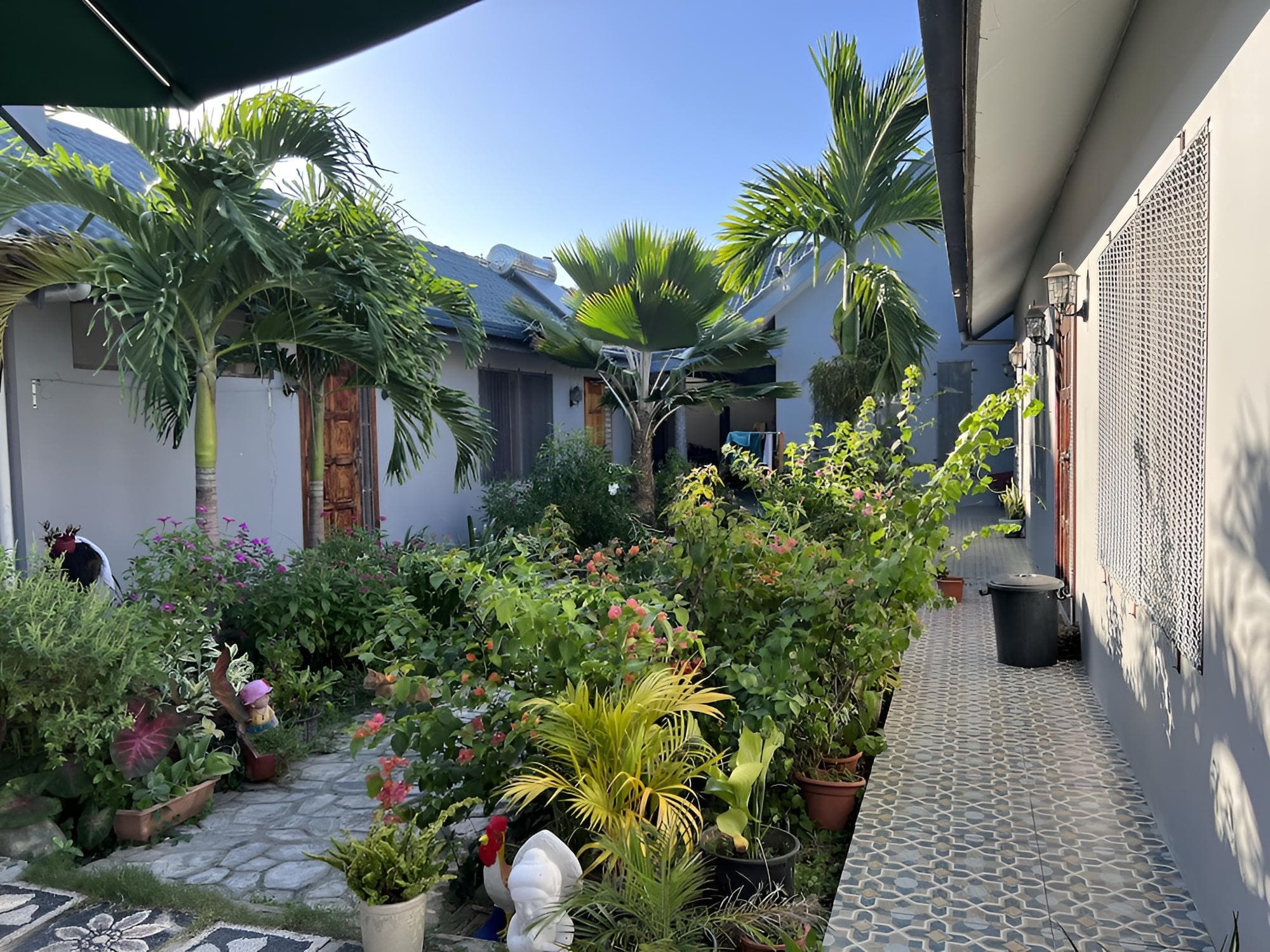 Studio Suite at Pasifika Guesthouse