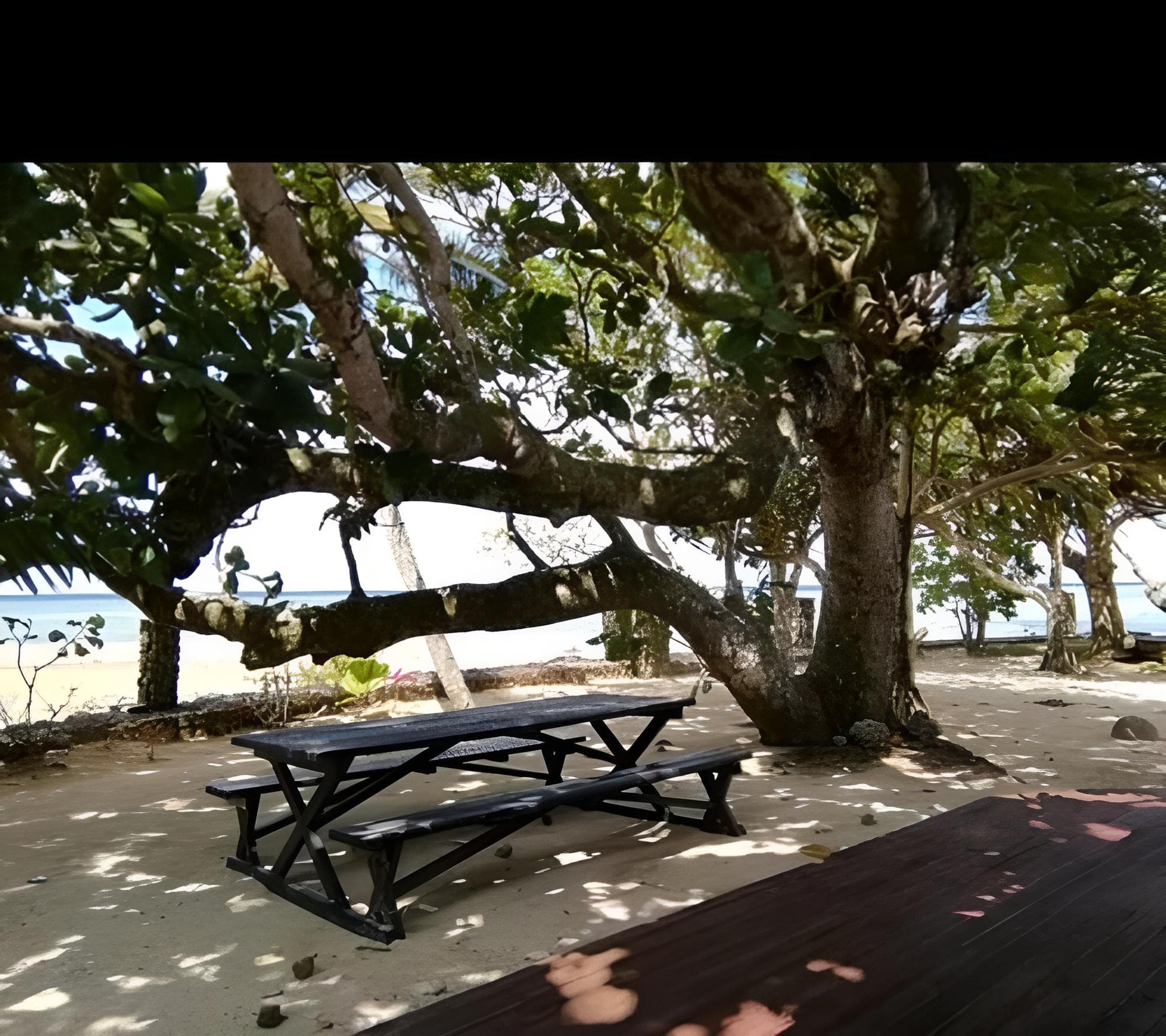 Coral View Bungalow at deVos - The Private Residence