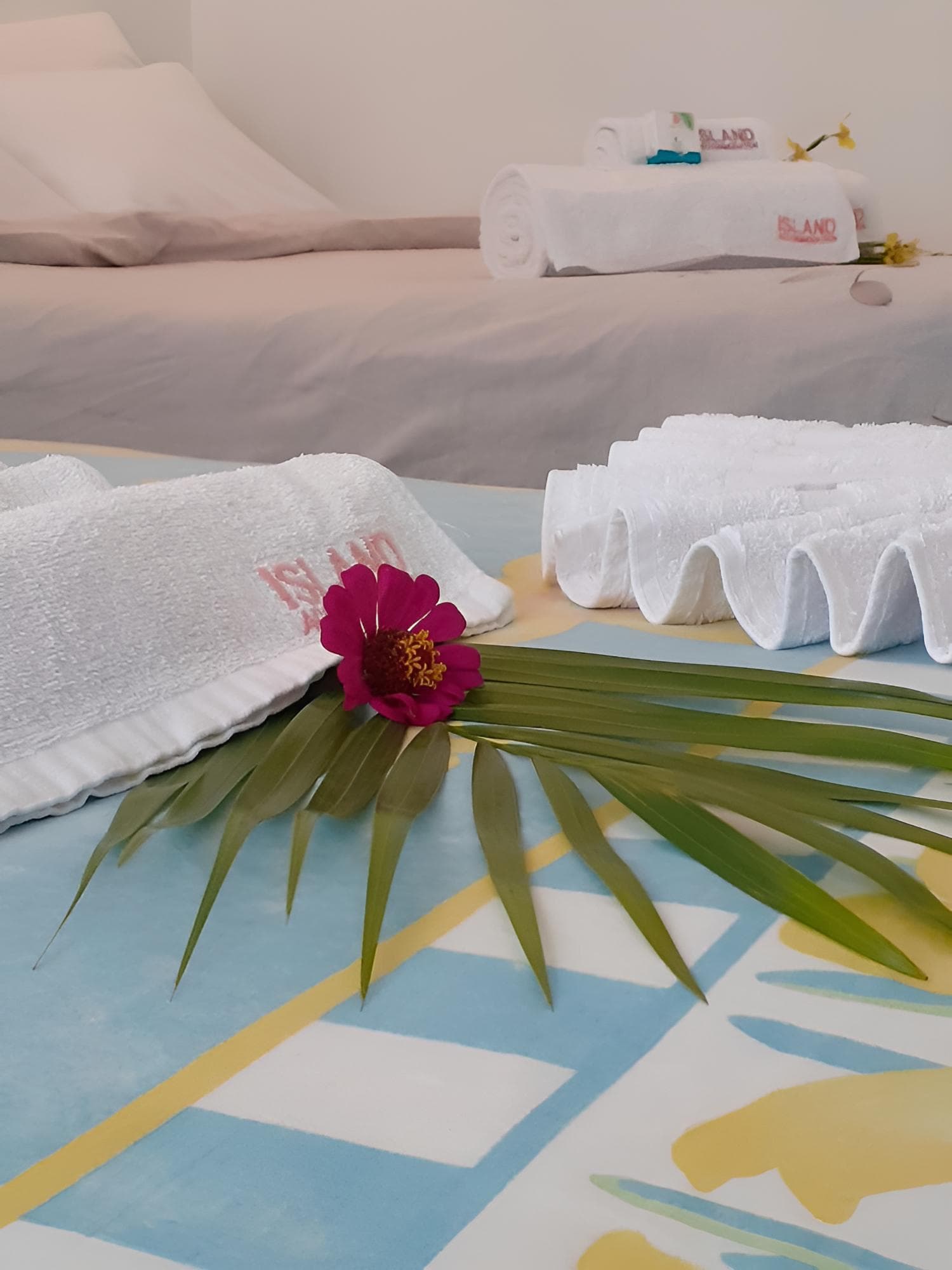 Superior Double Room, 1 Bedroom at Island Accommodation Nadi